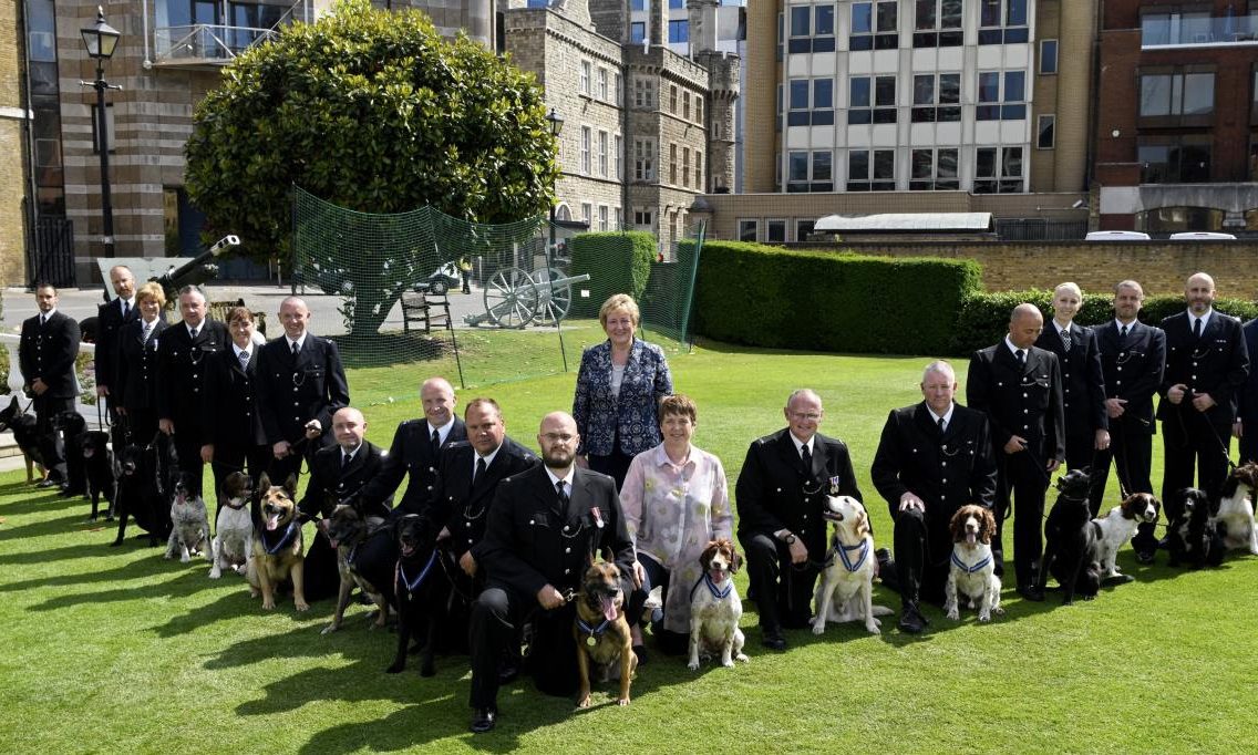 Animal OBEs awarded to London terror attack police dogs