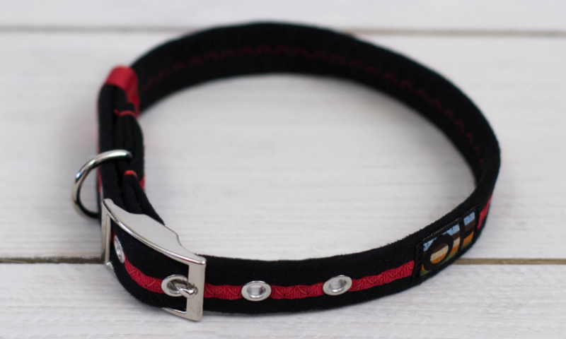 Oscar and Hooch celebrates 10 years with Medical Detection Dogs