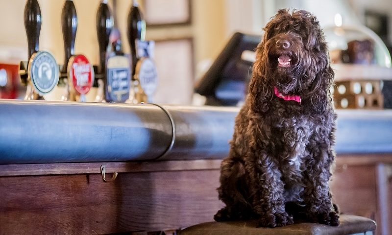 Forthglade launches new award