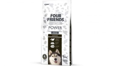 FourFriends Pet Foods introduces Power for working dogs