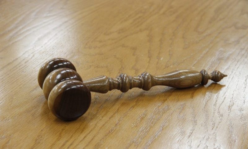 Committee finds vet fit to practise despite conviction