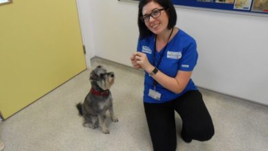 Royal Canin launches new weight management event