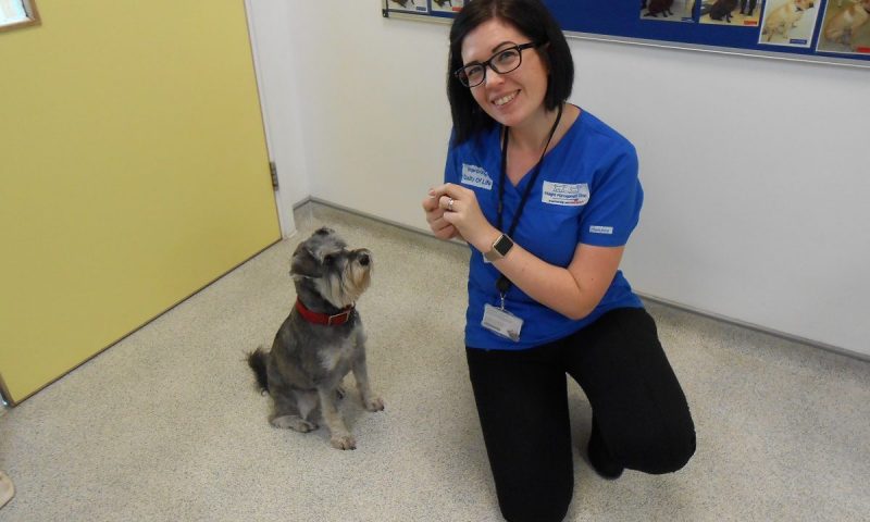 Royal Canin launches new weight management event