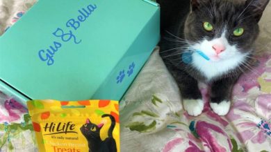 HiLife partners with cat subscription box service Gus & Bella