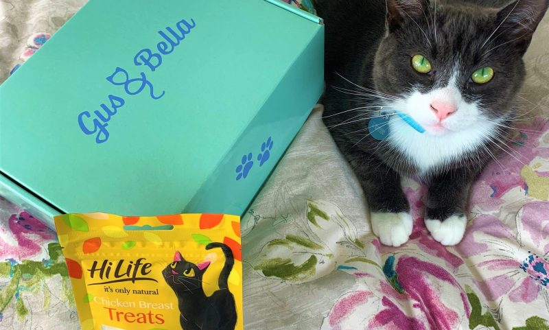 HiLife partners with cat subscription box service Gus & Bella