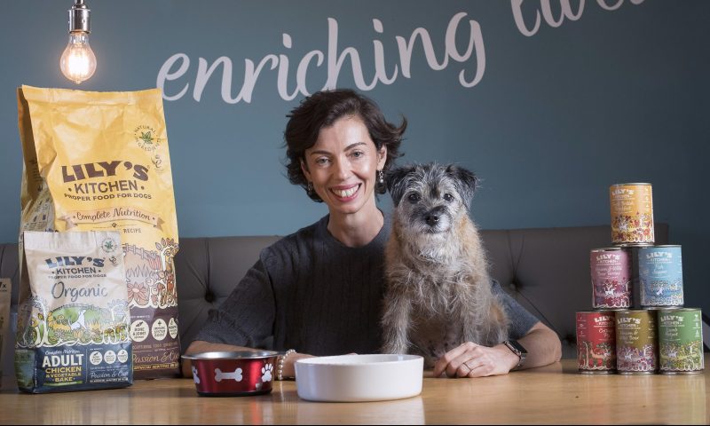 Senior canine companions help over 55s fill ‘empty nests’