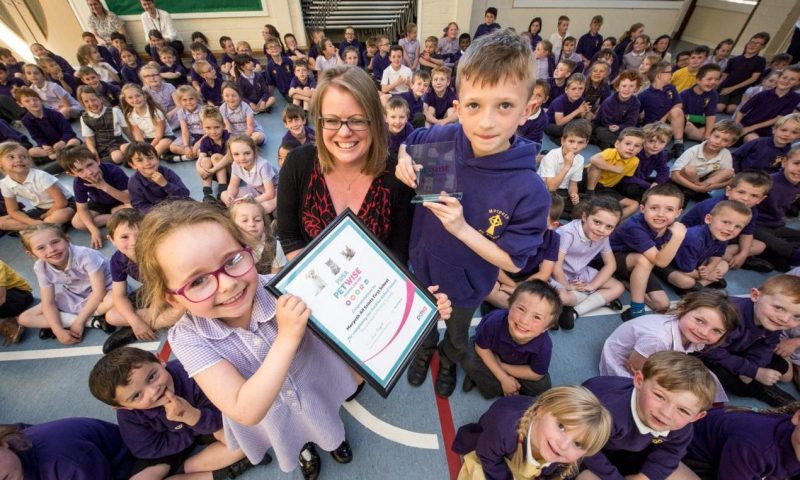 Two schools first in UK to receive PDSA PetWise status
