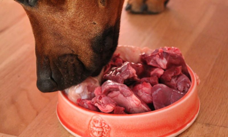 JSAP reviews pros and cons of raw food diet