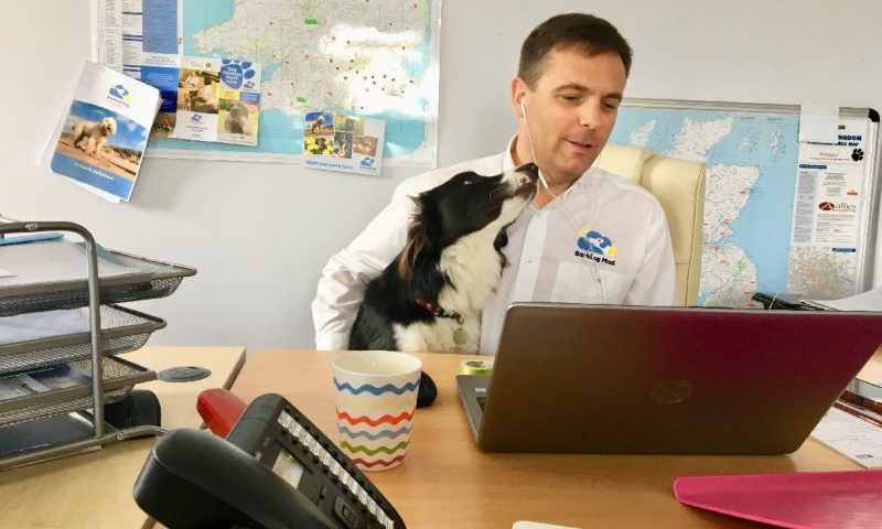 Barking Mad plan world record attempt