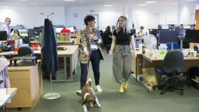 Pet industry celebrates Bring Your Dog to Work Day