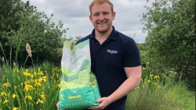 Wilson Pet Food appoints new head of sales