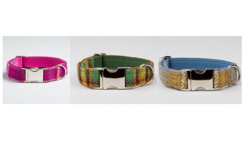 Collared Creatures launches Harris Tweed collars