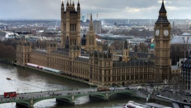 OATA joins Westminster committee inquiry for invasive species discussion