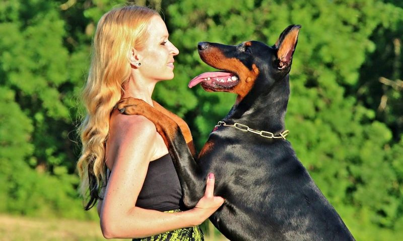 Dogs are actually a woman’s best friend, research finds