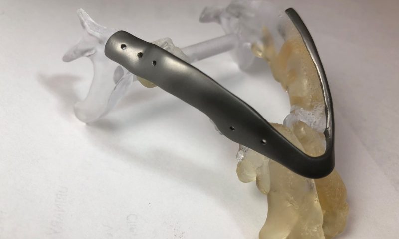 Medivet carries out 3D printed jaw replacement surgery on Shih Tzu