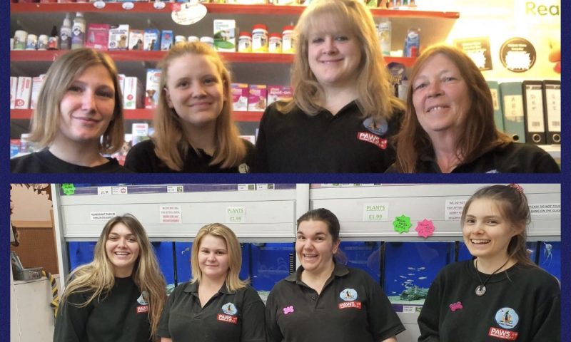 Pet business named finalist in Small Business Big Heart Awards