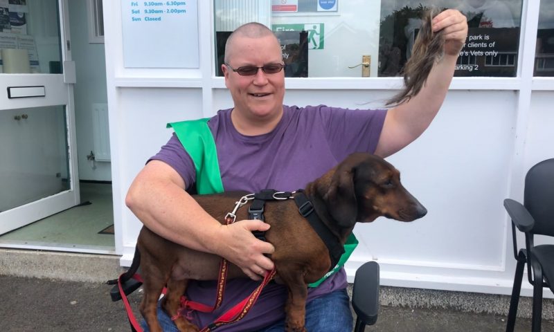 Vet shaves hair for Macmillan Cancer Support