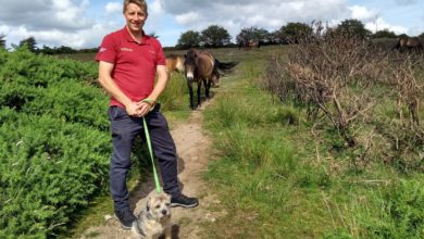 Oscar and Hooch join campaign for responsible dog walking