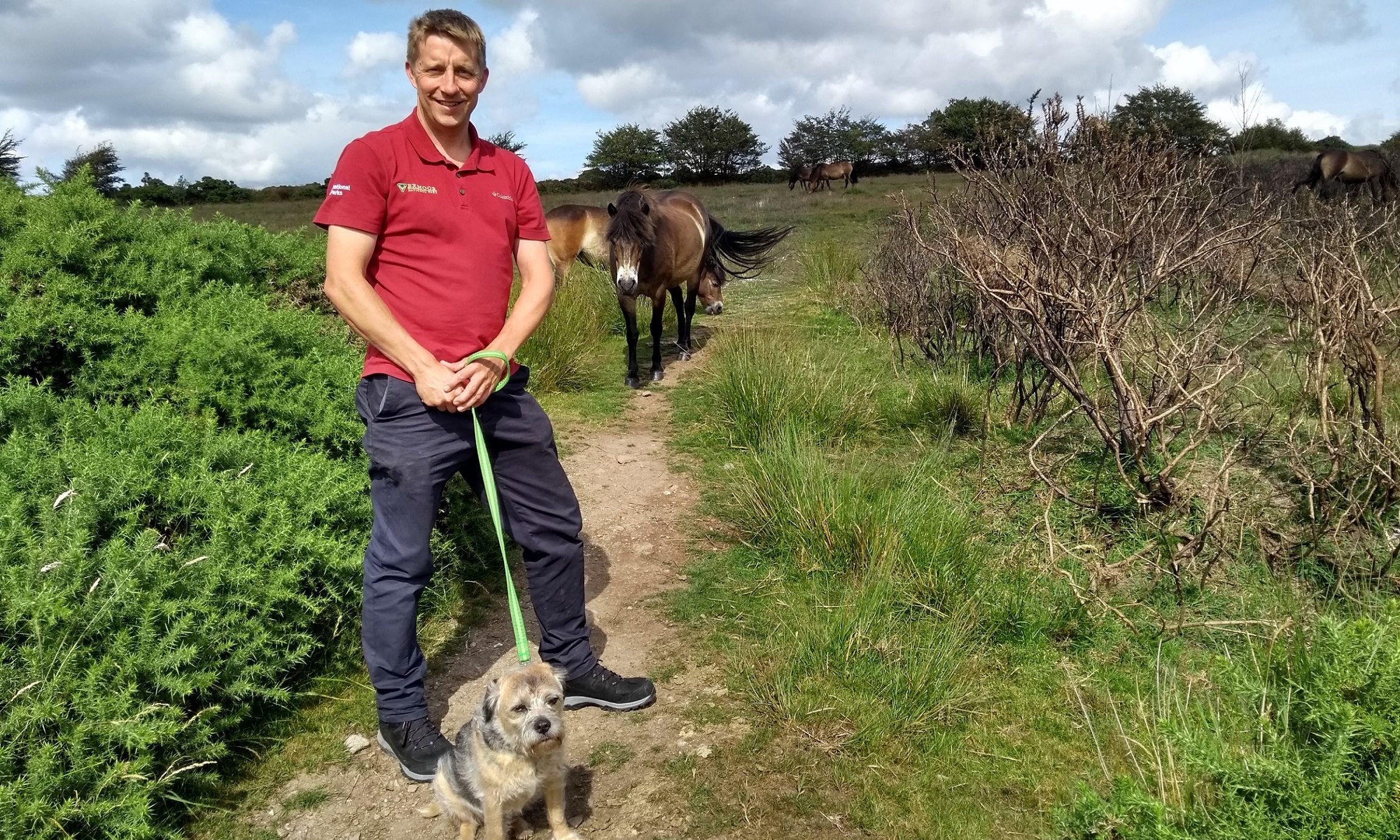 Oscar and Hooch join campaign for responsible dog walking