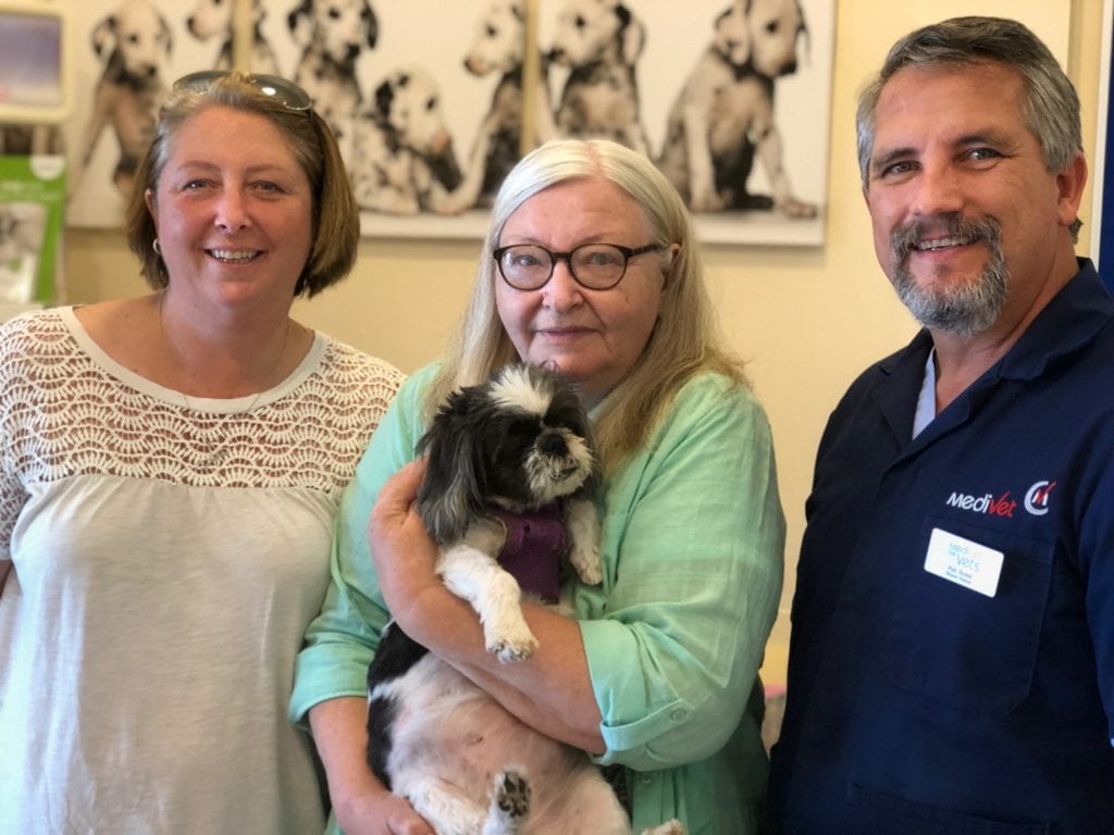 Medivet carries out 3D printed jaw replacement surgery on Shih Tzu