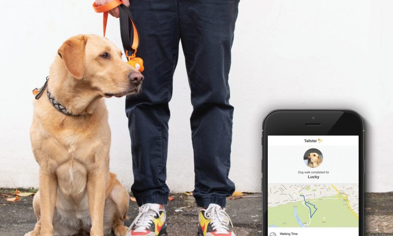 Pets at Home invests in dog-walking and pet-sitting service