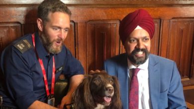 PFMA meets with MPs to discuss pet obesity
