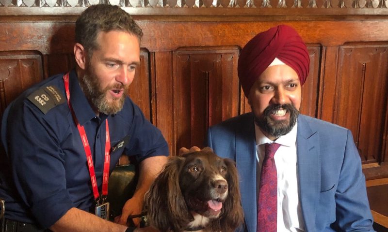 PFMA meets with MPs to discuss pet obesity