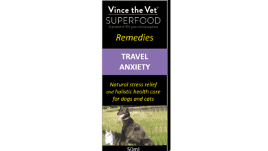 Vince the Vet brings out Travel Anxiety remedy