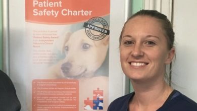 Wellpets Vets first to receive IVC Patient Safety Accreditation