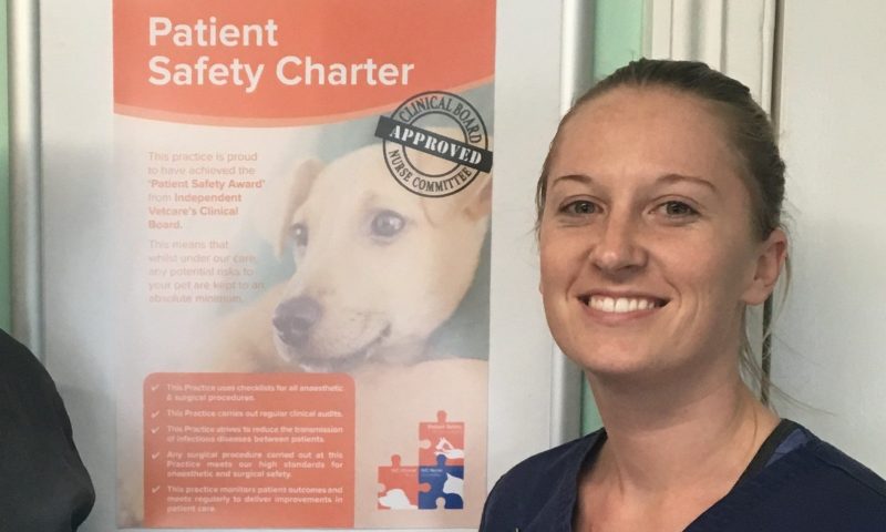Wellpets Vets first to receive IVC Patient Safety Accreditation