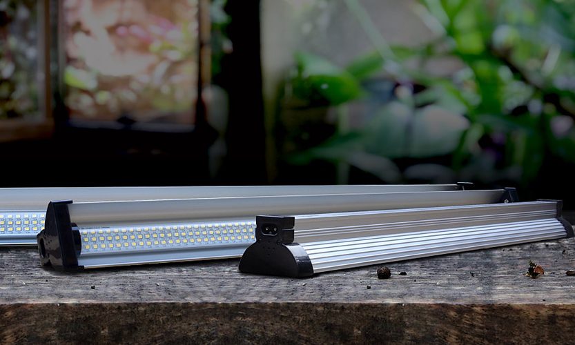 Arcadia Reptile launches new ‘JungleDawn’ lighting