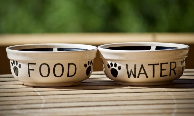 Homeland by Products recalls pet food due to traces of salmonella