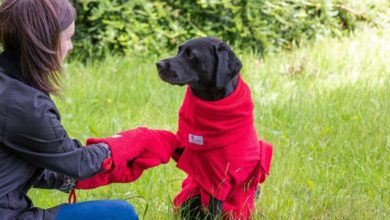 Dogrobes to launch new Gauntlets