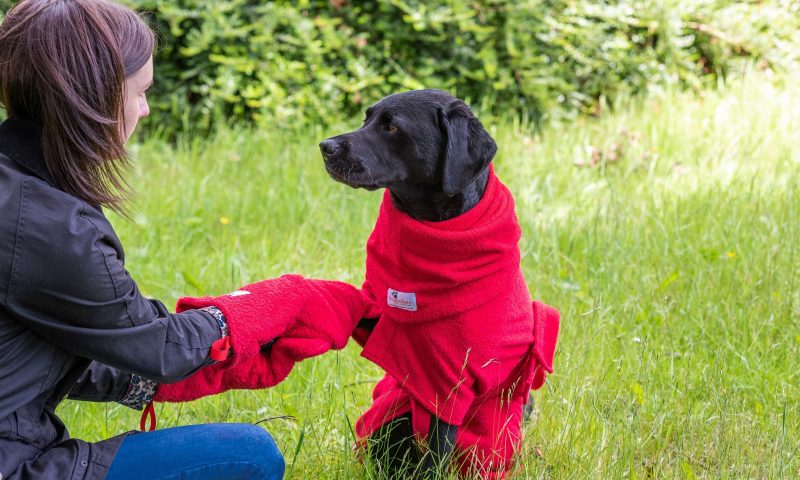 Dogrobes to launch new Gauntlets