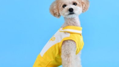 PetLondon launches new sports-themed dog apparel range