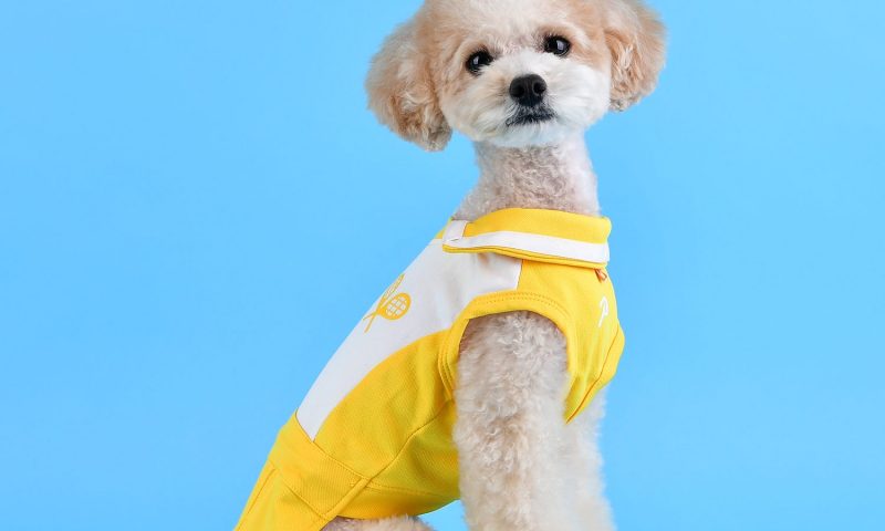 PetLondon launches new sports-themed dog apparel range