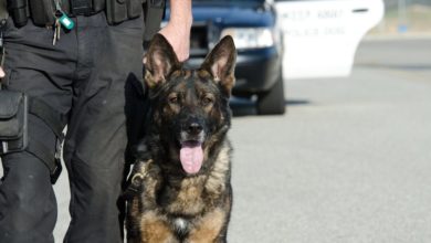Royal Canin supports BCH police dog unit