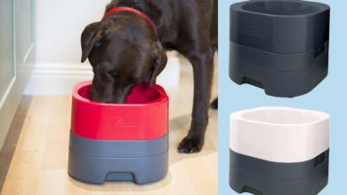 PetWeighter launches new dog bowl range