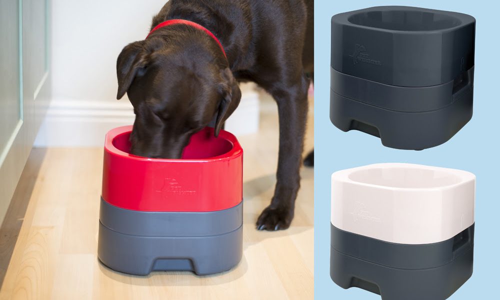 PetWeighter launches new dog bowl range
