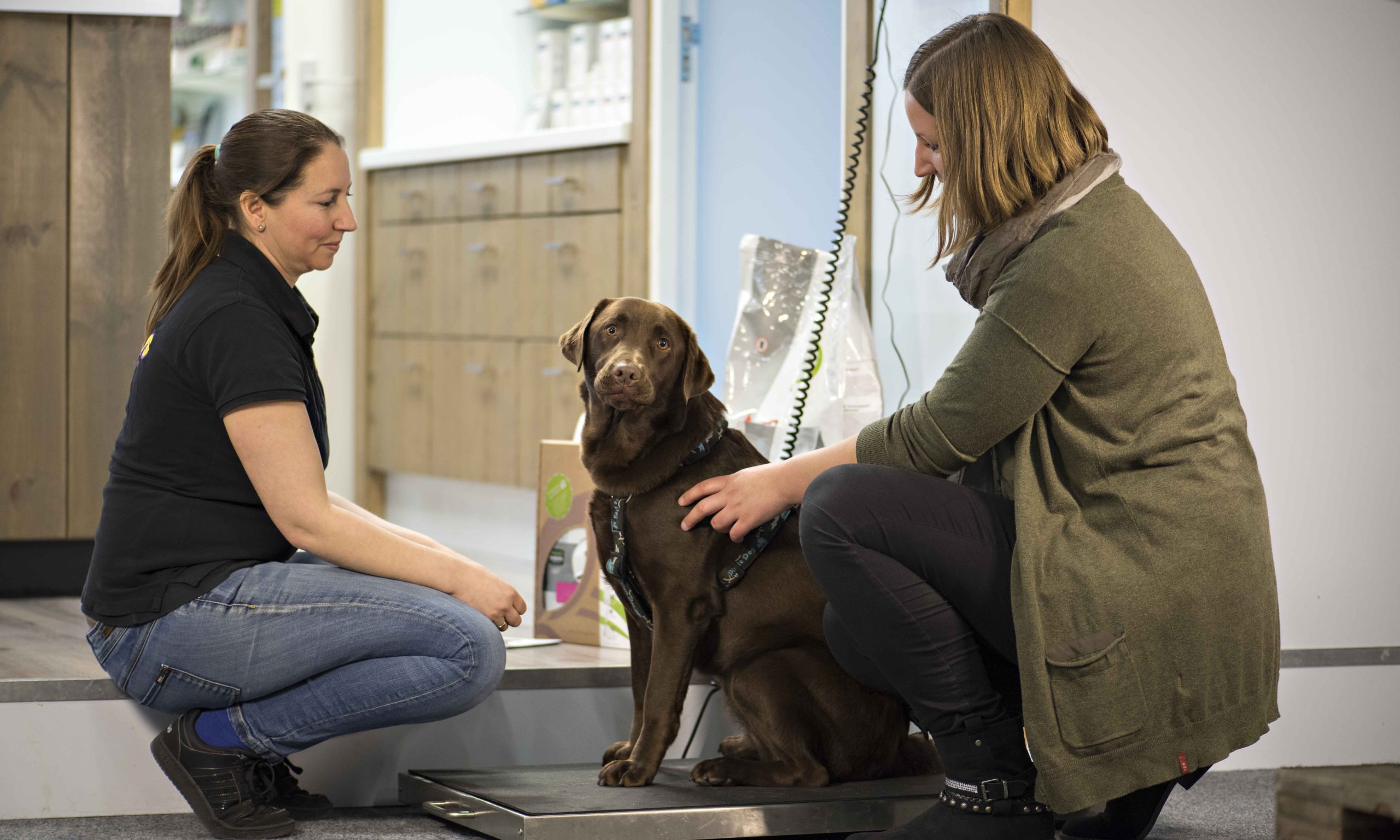 Prins Petfoods to launch health coach training course