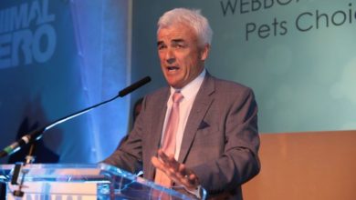 Webbox signs up as official partner to The Mirror’s Animal Hero Awards