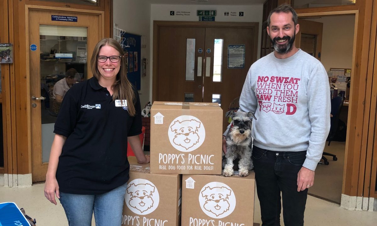 Poppy’s Picnic donates over 1000 meals to dogs and cats home