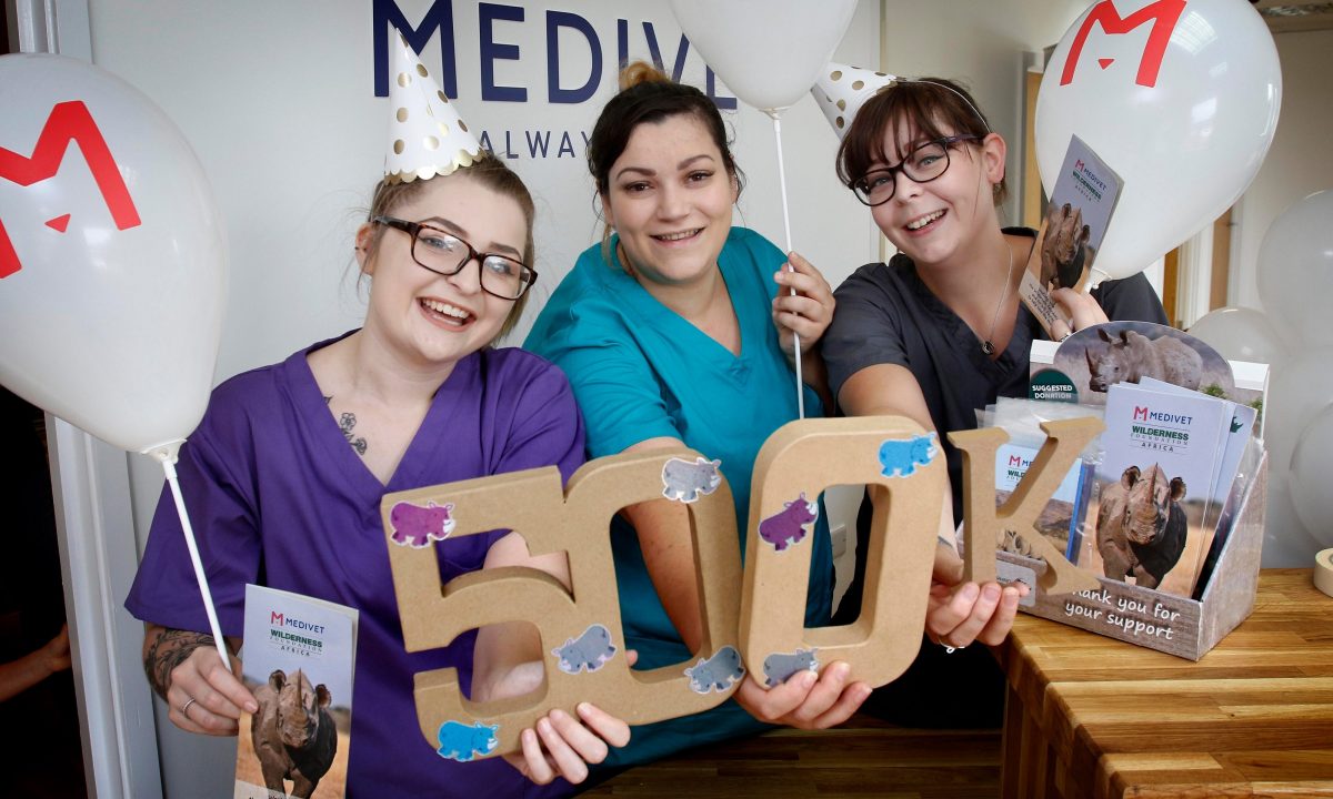 Medivet clients raise £500,000 in support of rhinos