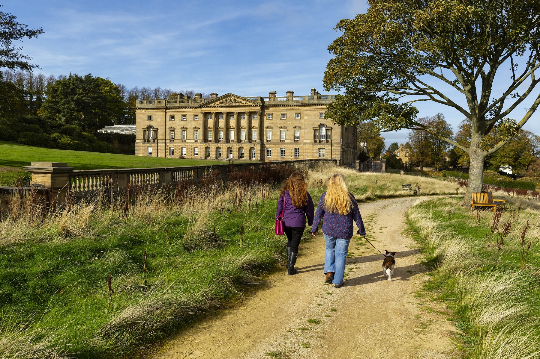 Forthglade partners with National Trust to promote healthier dogs