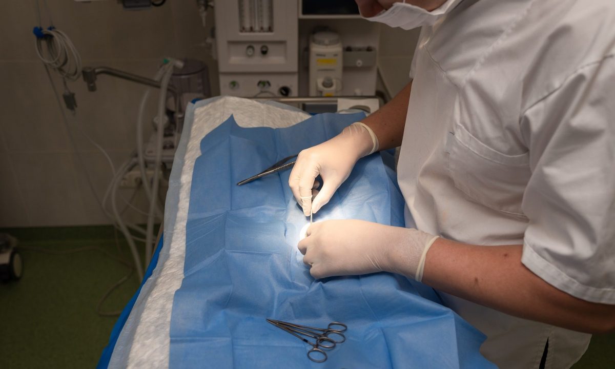 Farmers and vets asked for opinions on tackling Bovine TB