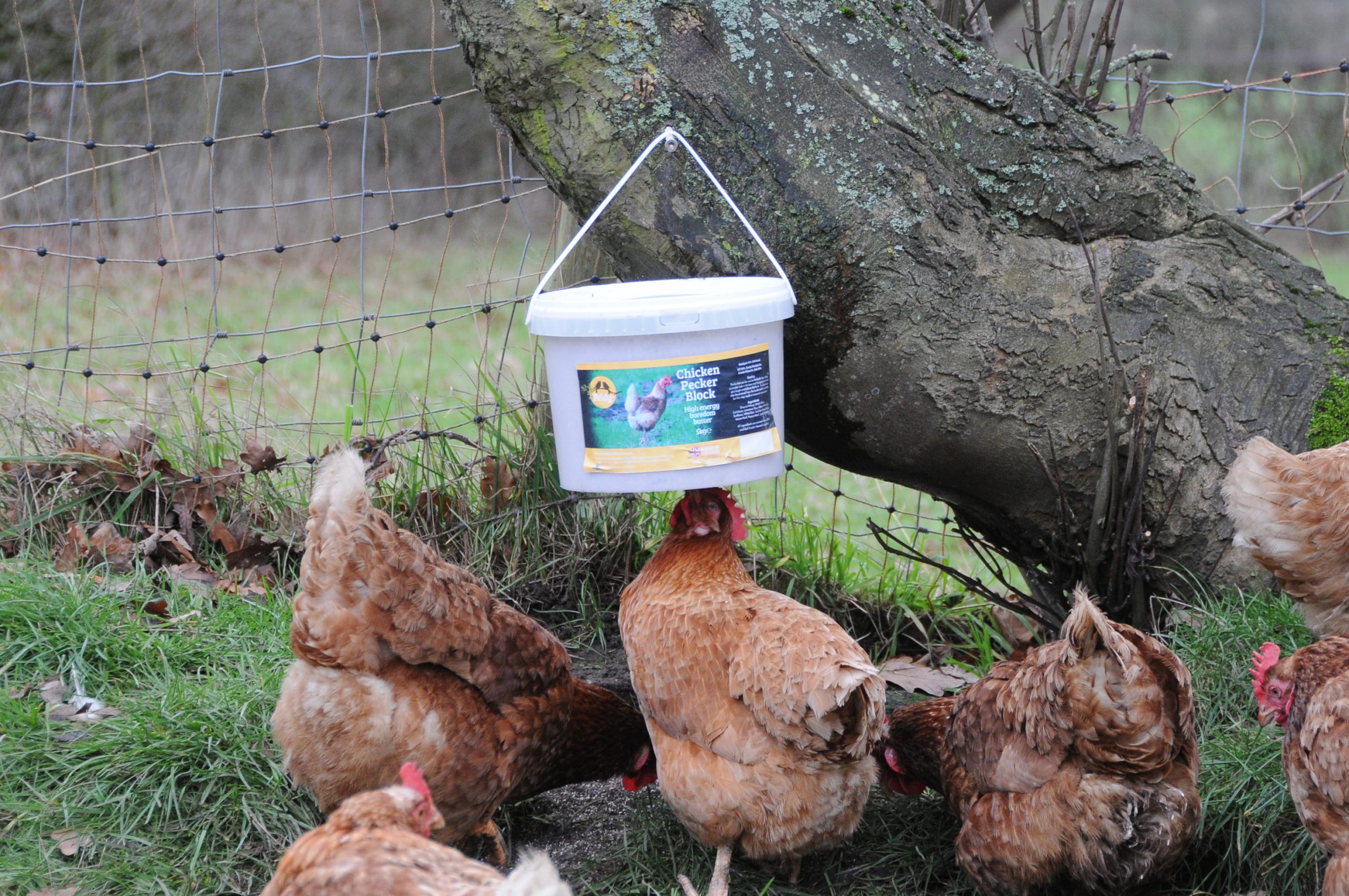 Feldyfare Limited celebrates continued expansion