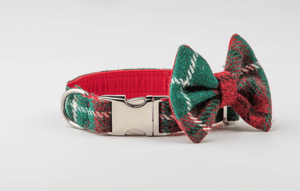 Collared Creatures launch Harris Tweed collars for dogs