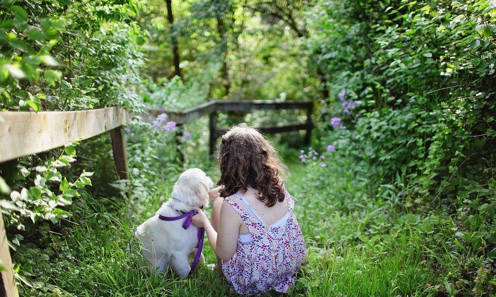 Childhood pets can help adults deal with stress, study suggests