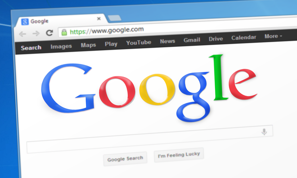 Webbox reveals most Googled pet queries