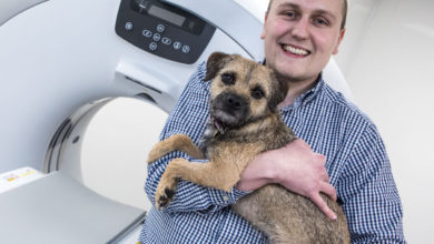 Westway Vets boosted by £250k investment and new practice manager